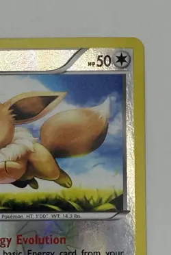 Eevee 80/111 Reverse Holo – XY Furious Fists 2014 – Near Mint Pokemon Card - Image 5