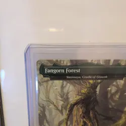 Fangorn Forest - Yavimaya, Cradle of Growth Commander: Lord of the Rings Regular - Image 2