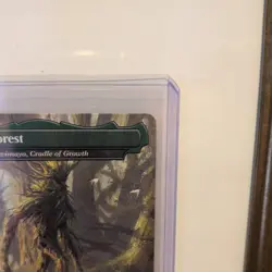 Fangorn Forest - Yavimaya, Cradle of Growth Commander: Lord of the Rings Regular - Image 3