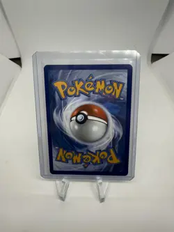 Pokemon First Partner Kanto Starters Bulbasaur, Charmander, Squirtle 30th - Image 4