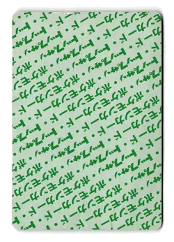 POKEMON JAPANESE RAICHU NO. 026 TOPSUN DAMAGED - Image 2