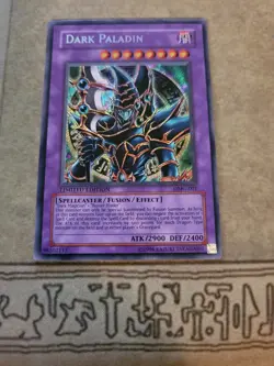 YUGIOH DARK PALADIN DMG-001 SECRET LIMITED EDITION LP - Image 4