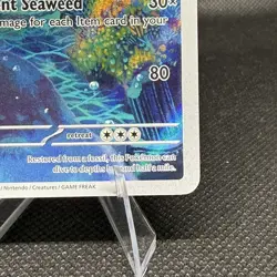 Tirtouga 106/086 Pokemon TCG SV Black Bolt Illustration Rare Holo - Image 5