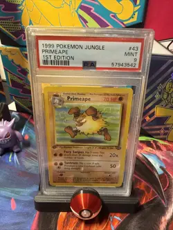 Vintage 1999 Graded PSA 9 MINT Primeape Jungle 1st Edition Pokemon Card 43/64 - Image 1