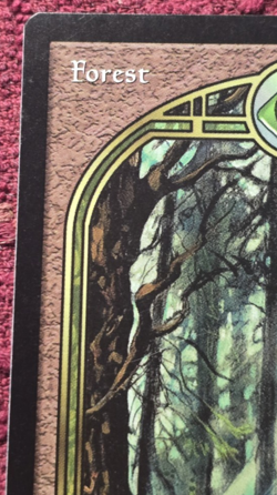 MTG Forest (UGL) Unglued 88/94 Regular Basic Land Magic The Gathering NM - Image 2