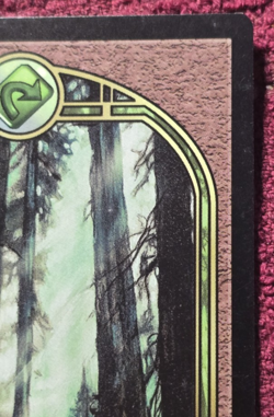 MTG Forest (UGL) Unglued 88/94 Regular Basic Land Magic The Gathering NM - Image 3