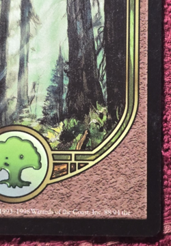 MTG Forest (UGL) Unglued 88/94 Regular Basic Land Magic The Gathering NM - Image 4