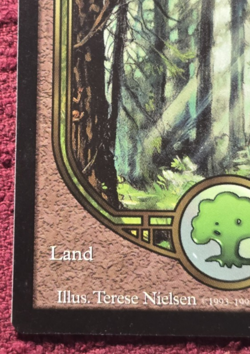 MTG Forest (UGL) Unglued 88/94 Regular Basic Land Magic The Gathering NM - Image 5