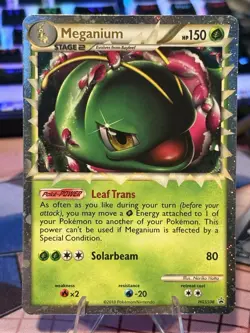 2010 Pokemon TCG HeartGold & SS HGSS08 Meganium (Prime) Black Star Promo Rare - Image 1