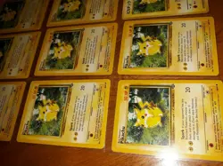 PIKACHU - Jungle Set - 60/64, Pokemon 14 Cards -12 english 2 Japan - Image 4