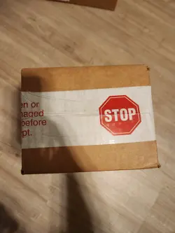 Pokemon 25th Anniversary SINNOH First Partner Pack - Sealed Display 12 Packs - Image 2