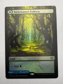 Barkchannel Pathway (Borderless) 290 Rare Kaldheim MTG Foil NM - Image 1