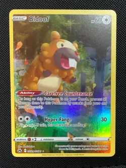 Bidoof | GG29/GG70 | NM | Crown Zenith Galarian Gallery | Pokemon Card - Image 2