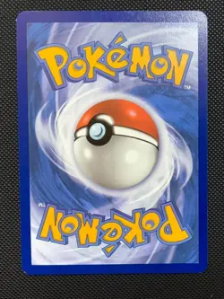 Bidoof | GG29/GG70 | NM | Crown Zenith Galarian Gallery | Pokemon Card - Image 3