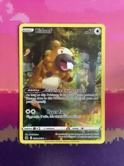 Pokemon Card Bidoof GG29/GG70 Crown Zenith Galarian Gallery Near Mint - Image 1