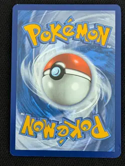 Bidoof GG29/GG70 Holo Crown Zenith Galarian Gallery Pokemon Card TCG - Image 3