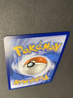 Bidoof GG29/GG70 - Holo Rare - Crown Zenith Galarian Gallery - Pokemon TCG - Image 5