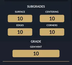 Pokemon Squirtle MEP 039 ACE 10 Gem Mint First Partner Illustration - Image 4