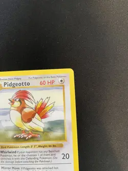 Pokemon Pidgeotto 1st Edition Base Set 💎 NM/Mint 💎 (Shadowless) 22/102 Rare - Image 3