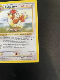 Pokemon Pidgeotto 1st Edition Base Set 💎 NM/Mint 💎 (Shadowless) 22/102 Rare - Image 5