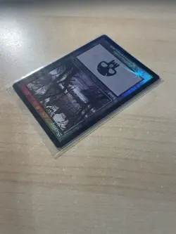 Swamp (340) Onslaught Foil - Image 5
