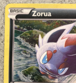 2011 Pokemon TCG Zorua BW12 Black Star Promo Holo - Tomokazu Komiya Card - Image 2