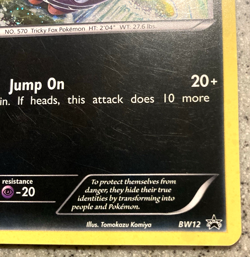 2011 Pokemon TCG Zorua BW12 Black Star Promo Holo - Tomokazu Komiya Card - Image 4