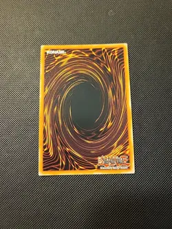 Yugioh - Bramble Rose Dragon Secret Rare DOOD-EN039, 1st Edition - Image 2