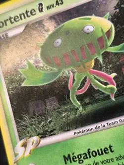 Carte Pokemon Vortente DP42 Holo Promo Diamant & Perle Blackstar FR - Image 3
