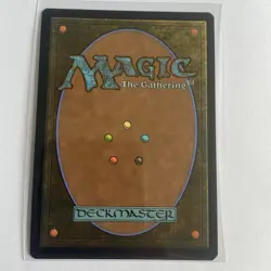 MTG: Hide on the Ceiling (Foil Borderless) - Spider-Man - 0249 - R - NM - Image 2