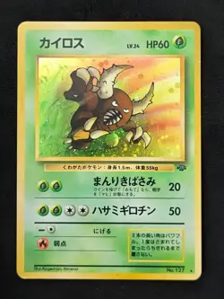 🌿 Pinsir 🌿 – Jungle – Japanese Vintage 1997 – Holo Rare – LP/MP – Pokemon TCG - Image 1