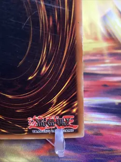 Dragon Zombie SDY-014 - Yugioh Starter Deck Yugi - HP - Image 5