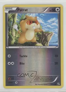 Patrat Reverse Foil Pokemon Black & White Base Set #77 READ - Image 1