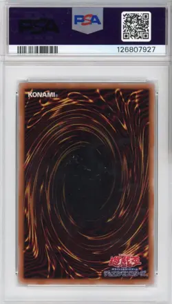 PSA GEM MINT 10 Signed Eric Stuart Blue Eyes White Dragon (JPN) (711D-JP001) - Image 2