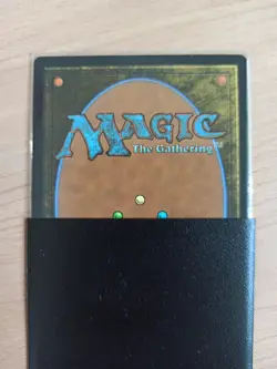 Card magic the gathering : Siagarda's Aid, Foil - Image 2