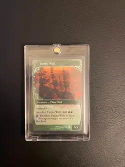 Magic the Gathering FOIL Future Sight Tinder Wall (215) Mystery Booster 2 NM - Image 5