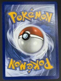 Litten - 044 044 P ME: Mega Evolution Promo Pokemon - Image 2