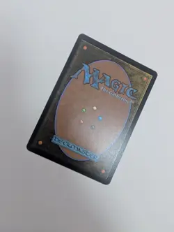 MTG - Colorstorm Stallion (Borderless) - Secrets of Strixhaven NM/M Condition - Image 3