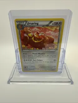 Ursaring RC16/RC25 Legendary Treasures: Radiant Collection Holo Pokemon TCG 2013 - Image 1