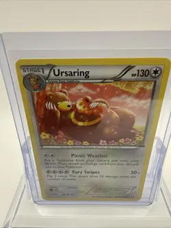 Ursaring RC16/RC25 Legendary Treasures: Radiant Collection Holo Pokemon TCG 2013 - Image 2