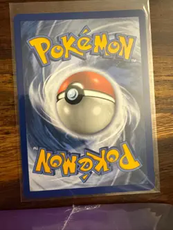 Morpeko V 079/202 Holo V Rare Sword & Shield Pokemon Holo Near Mint - Image 2