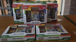 Pokemon TCG First Partner Series 1 Illustration Collection Box Lot Of 5 - Image 2