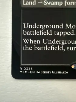 MTG Underground Mortuary 0333 (Borderless) Murders at Karlov Manor (MKM) NM - Image 2