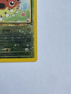 Pokemon Ledyba 07/18 Southern Islands Reverse Holo Promo Card 2001 English - Image 4