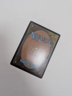 MTG - Forest 0280 - Lord of The Rings NM/M Condition - Image 3