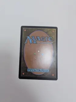 MTG - Forest 0280 - Lord of The Rings NM/M Condition - Image 4