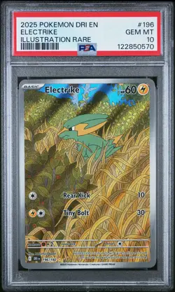 2025 Pokemon Dri En-Destined Rivals #196 Electrike Illustration Rare PSA 10 - Image 1