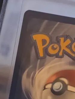 Chatot Illustration Rare Holofoil TEF 181/162 NM Pokemon TCG - Image 5