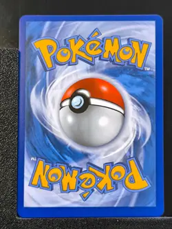 Carte Pokemon Groudon de Team Magma 9/95 EB7.5 Celebrations 25 ans epee bouclier - Image 3