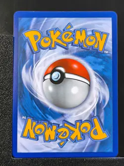 Carte Pokemon Groudon de Team Magma 9/95 EB7.5 Celebrations 25 ans epee bouclier - Image 3